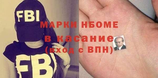 гидра Елабуга