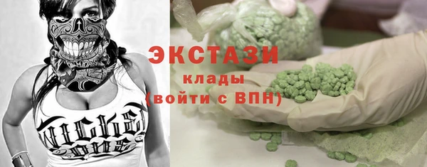 гидра Елабуга