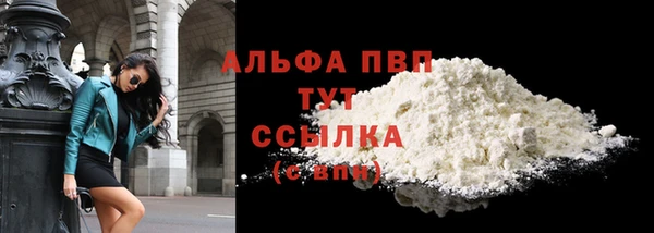 гидра Елабуга