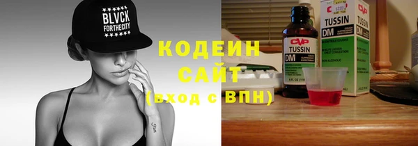 гидра Елабуга