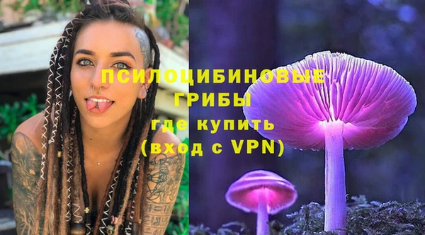 гидра Елабуга
