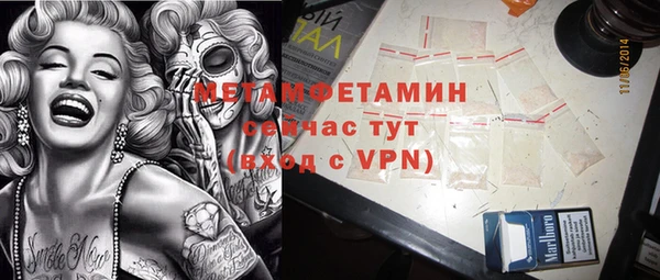 гидра Елабуга
