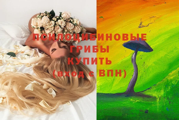 прущий лед Ельня