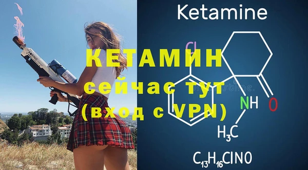 гидра Елабуга
