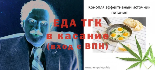 гидра Елабуга