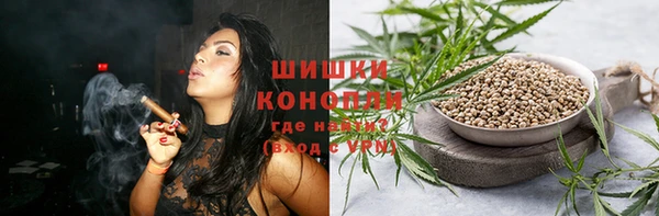 гидра Елабуга