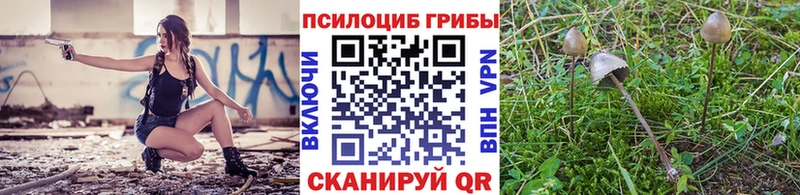 Галлюциногенные грибы ЛСД  Купить  Корсаков 